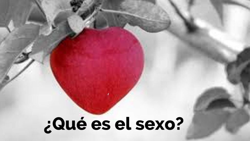 ¿qué Es El Sexo Amorología 2emk 9784